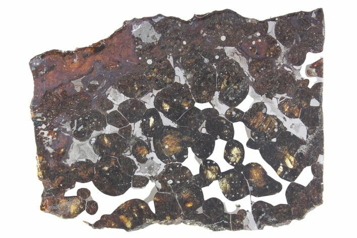 Polished Sericho Pallasite Meteorite ( g) Slice - Kenya #348924